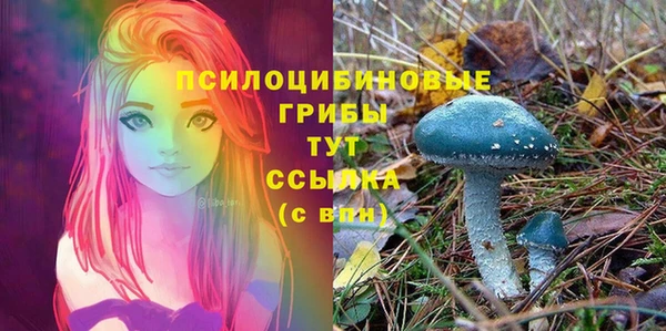 таблы Белоозёрский